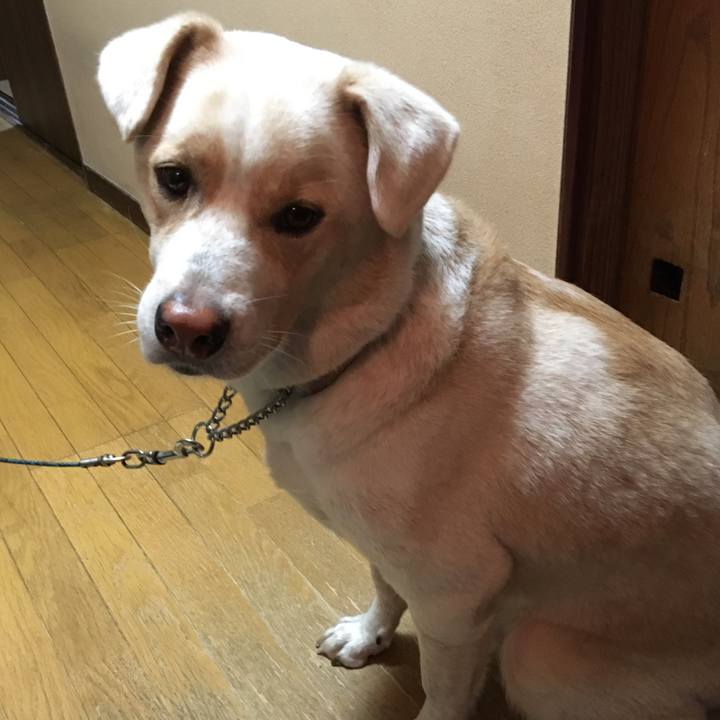 Bdd9fd0f 69ad 471d bb13 1a82651dcd15 1508148955785