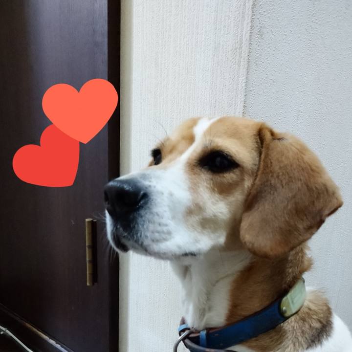 Bdda179b 83c2 4289 bf96 461cb02f8751 1614510618243