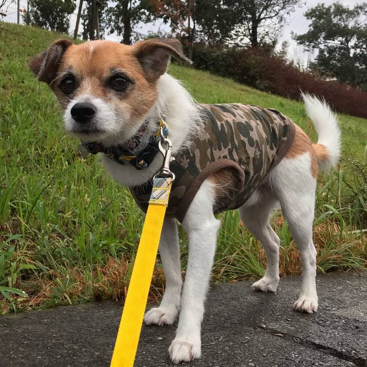 Bdda1975 b18b 4c54 86a0 c3a35289f970 1539473389992