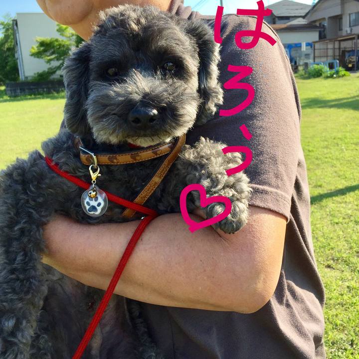 Bdda3ced a32b 4362 b382 21a8276c9bb8 1526975596086