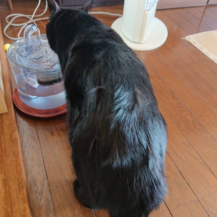 Bdda48a7 eed4 49cb a111 1d885704b593 1643337770796