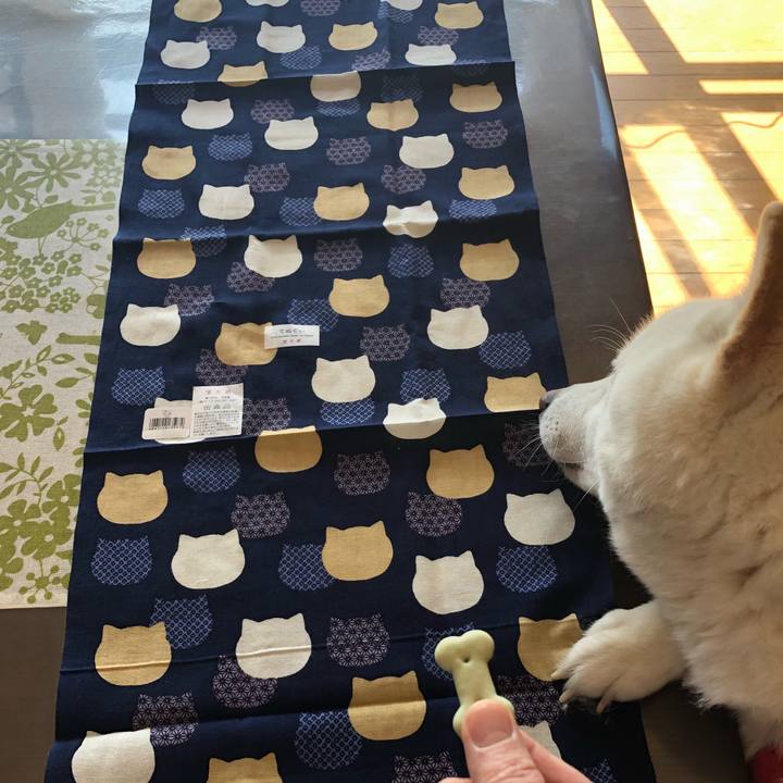 Bdda5c28 1b77 4fb3 8bfb 7300e30f6b47 1585103350672