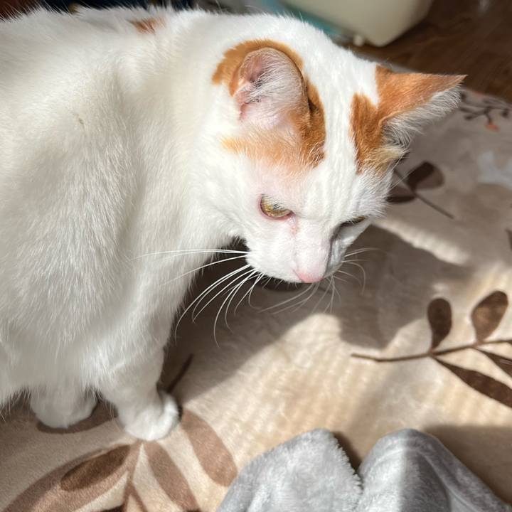 Bdda63aa b771 43cb 9f7f 262a686d740b 1772922739212