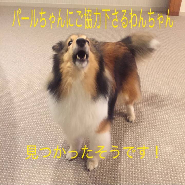 Bdda6cc3 b0c6 4f77 99ef c8df0fcbf368 1537776337326