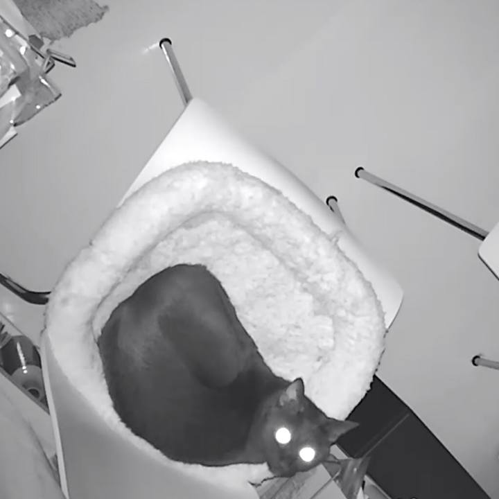 Bdda8489 abac 4212 ac92 edee1c3761f1 1516184713475