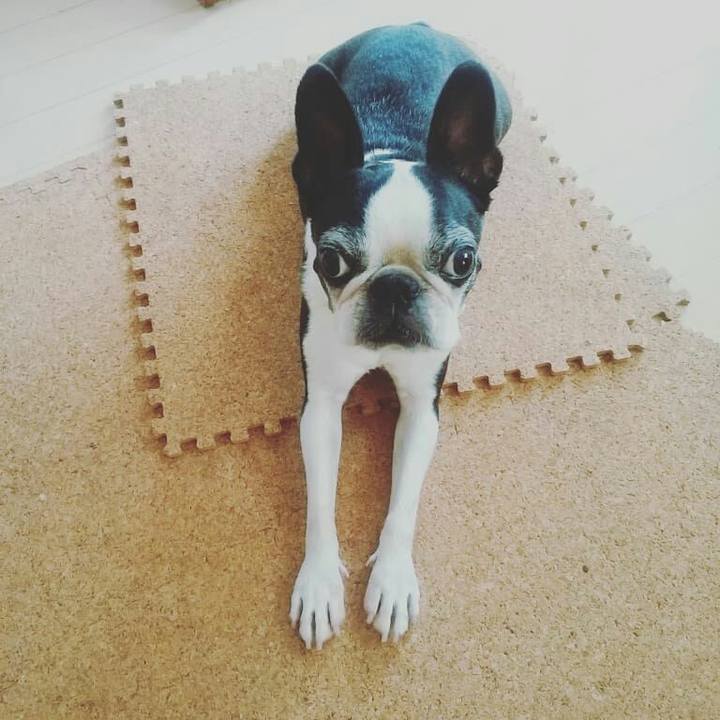 Bdda8ba7 561b 4844 802d 2de0d385238c 1536808756254