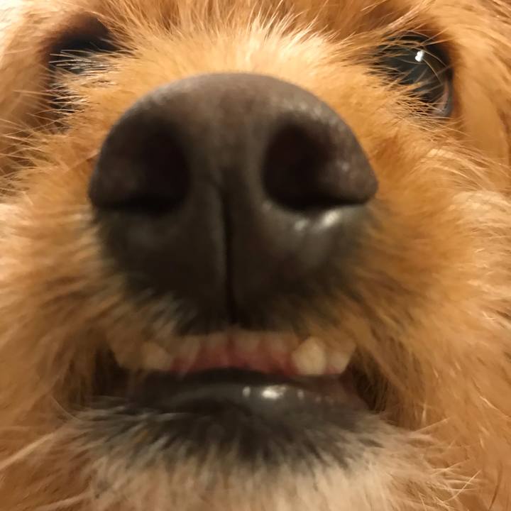 Bdda9239 33a9 48d2 8a74 9bab052b50e4 1540635044465