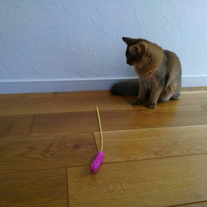 Bddac9a9 0e4a 4713 8b1a 41f96f30625b 1577437760104