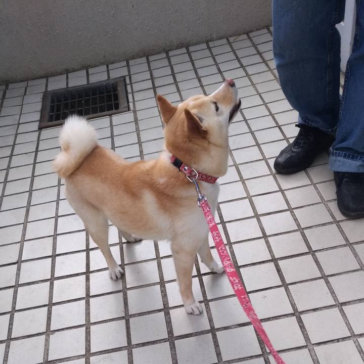 Bddadc89 dfd4 4c52 9e1e bfe245defeca 1555331973754