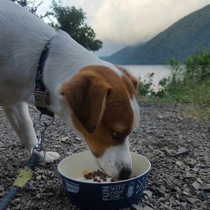 Bddae258 41ff 4abf 8c84 0e8d3e62b1e0 1567492490491