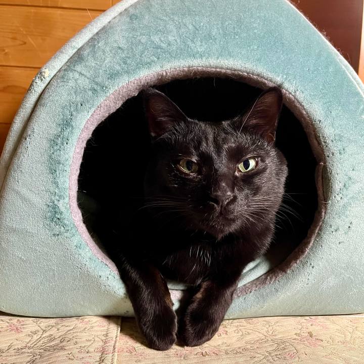 Bddb429f b5f9 4aa2 b6f0 a87ef09c0c42 1704538139067