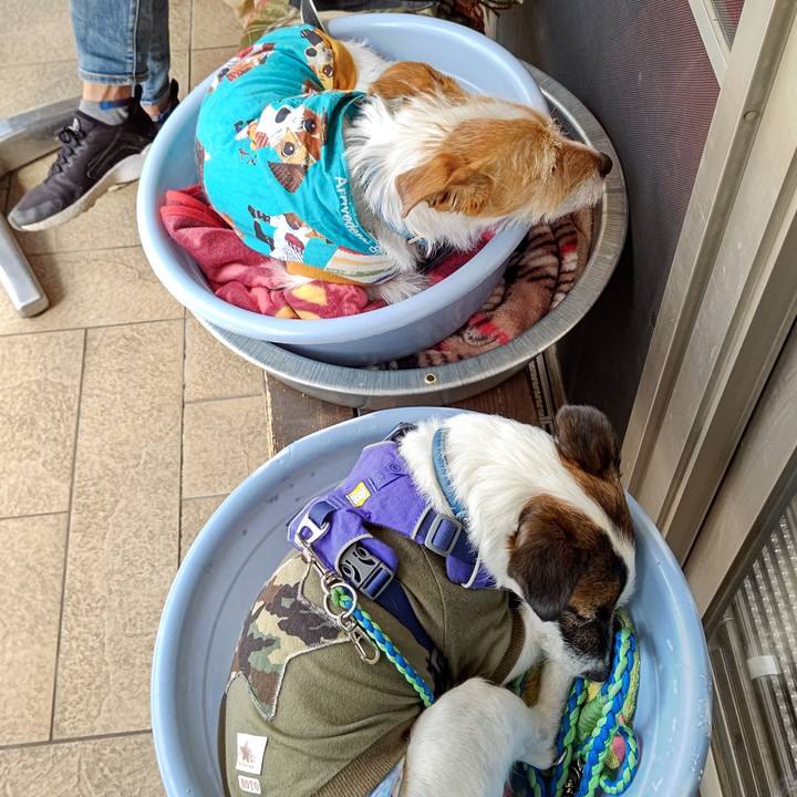 Bddb7852 f75a 4be7 bfe9 d7675d98467b 1619513531302