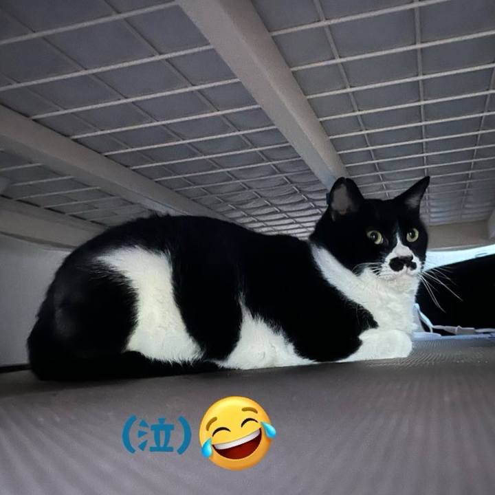 Bddba3c1 72b8 4712 9859 3aaca0a0f855 1706055240382