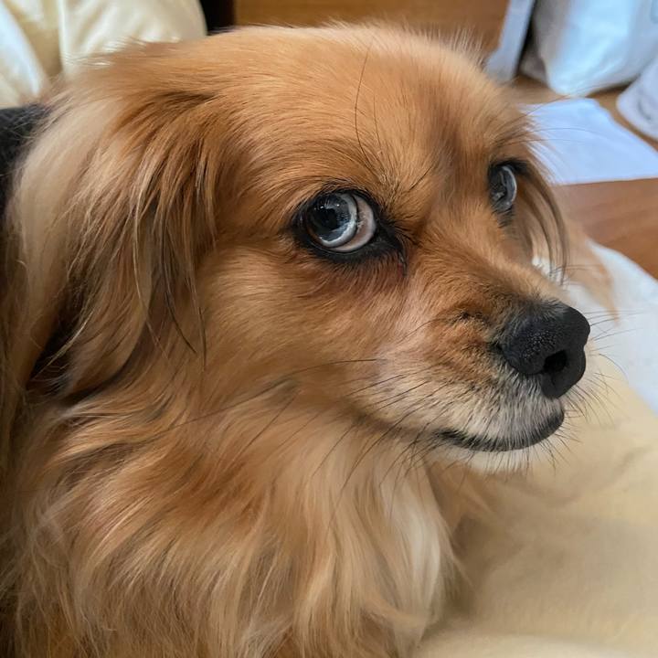 Bddba42f 8d0c 46f6 9f2d e7f6d4723a63 1587678968235