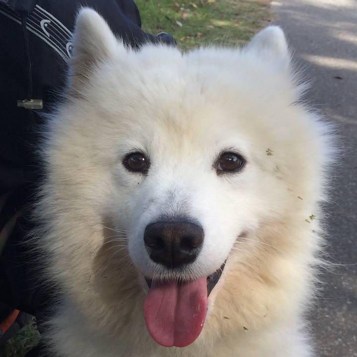 Bddbd61c ebc3 4cc0 914d 3b8c276b204c 1541228625504