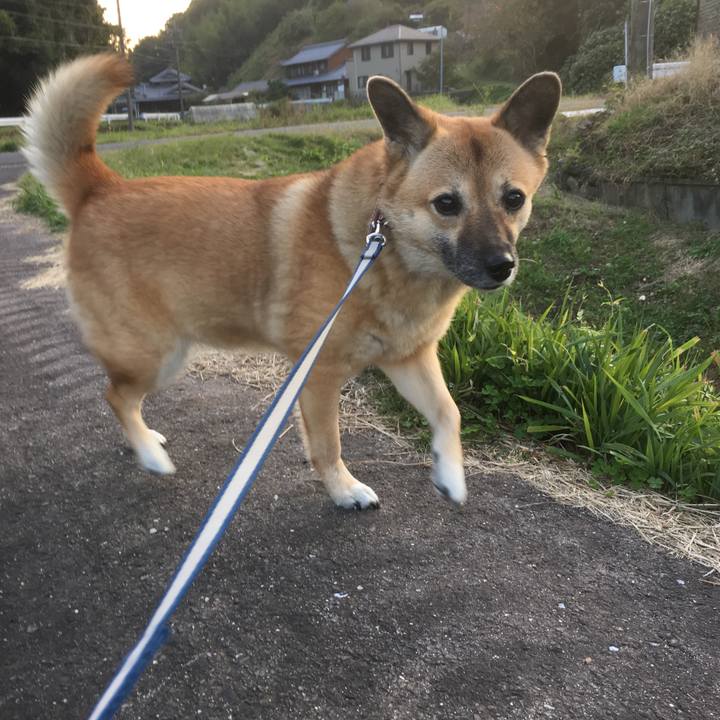 Bddbd7fe 2f32 4d2a b9d4 6b29c826d02e 1509111050743