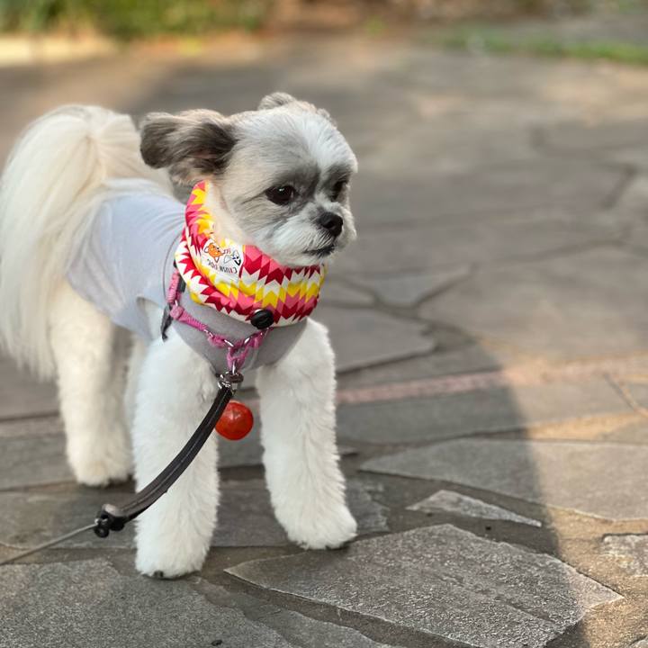 Bddbfa0e 46e3 4f03 81dd 78c865484fec 1660012406513