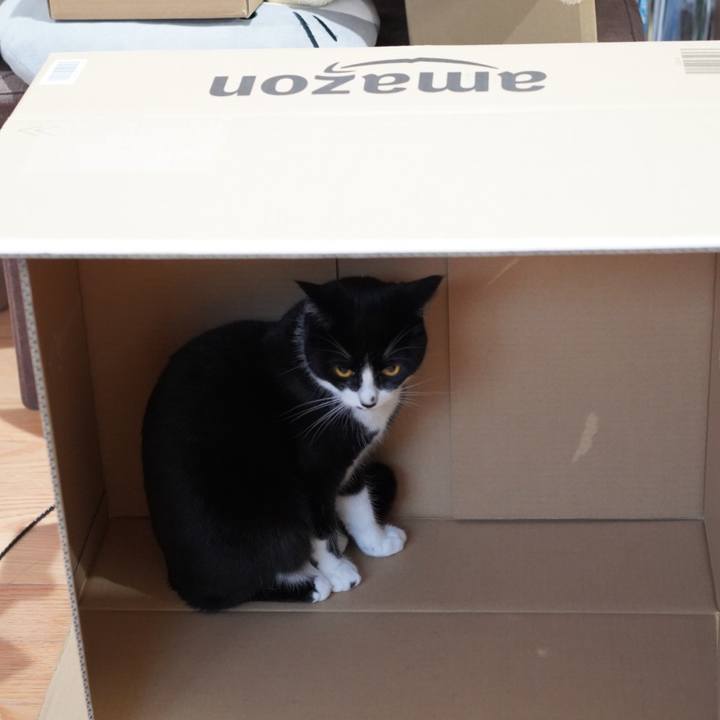 Bddc1d4b 8b2d 473f 8905 93f14c4d526e 1624438358256