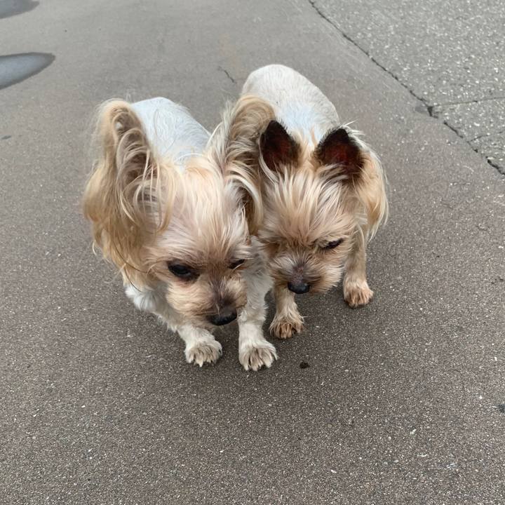 Bddc315e cef2 4e2d 9508 93b06f4c7b37 1695287187768