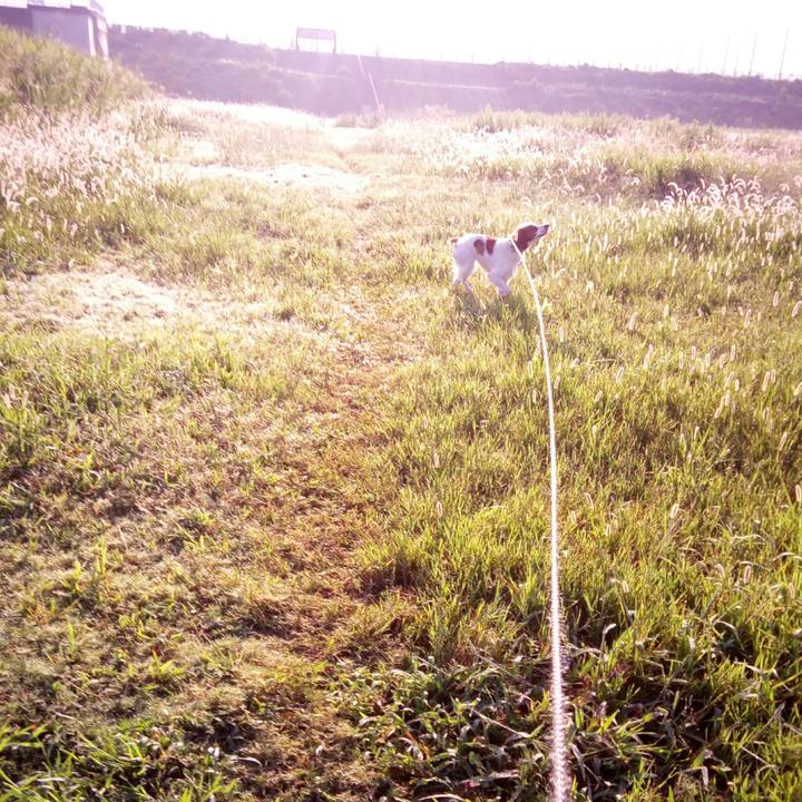 Bddc523e bda0 4a19 9c95 78ff02271476 1510668768650