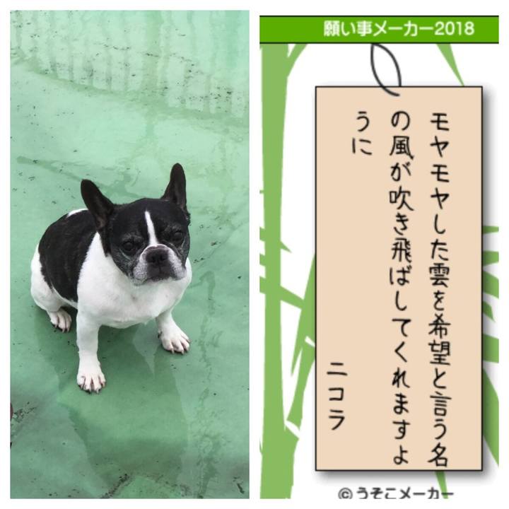 Bddc5396 f3e0 4c94 bfd6 2b79bc90d50f 1530962684863