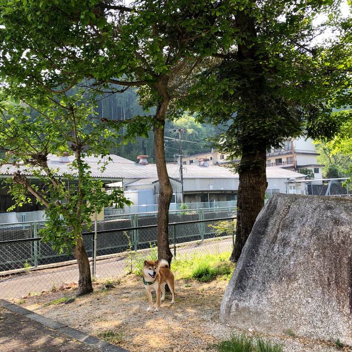 Bddc66d3 0e32 49f4 b6a8 b2ca85b78963 1525161192158