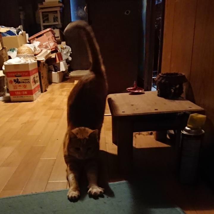 Bddc8036 4a34 4651 9d3e e9bfbc8c893c 1571649719775