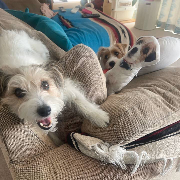 Bddca866 7129 4f7b 8f60 2ecde6444df6 1758151133790