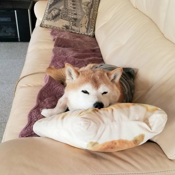 Bddcb10f e3c0 4a29 8bb1 7d678e0ac328 1676850725005