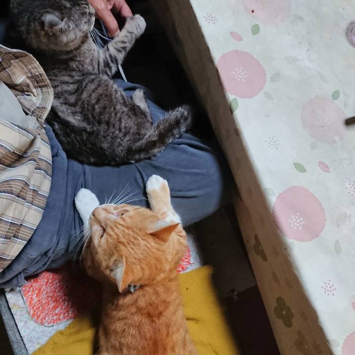 Bddd3ecb 9d11 48f5 b4c2 0c73f1a15b71 1571102159319