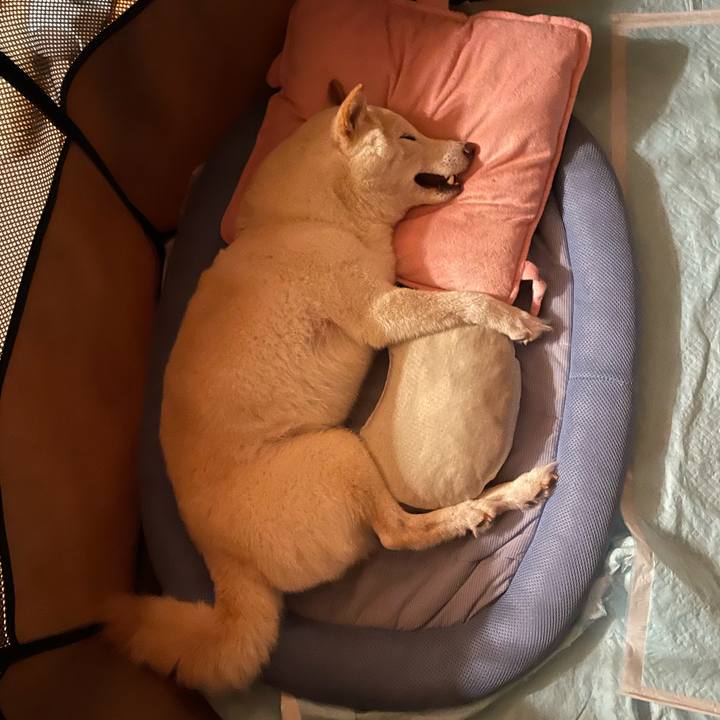 Bddd7e21 ea41 47f7 b4c3 549e75c66de0 1655129686650