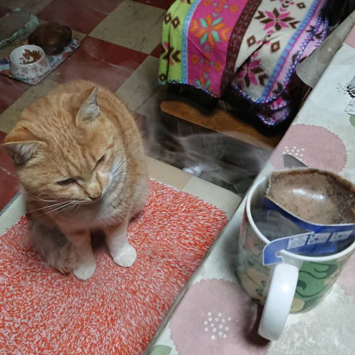 Bddd810c e02c 42c8 9d12 46da104f872c 1578081519621