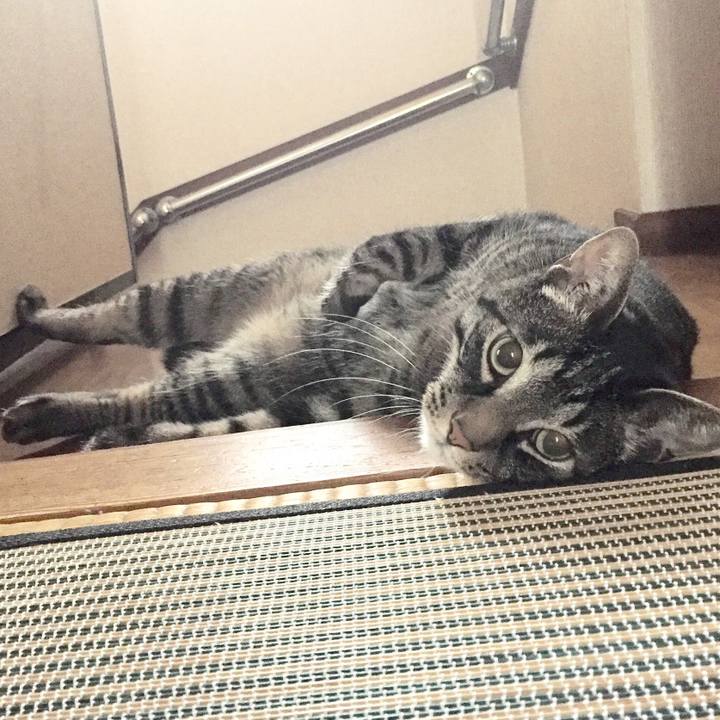 Bdddd115 4e64 473f 86b7 068e8e314f3d 1531434711917