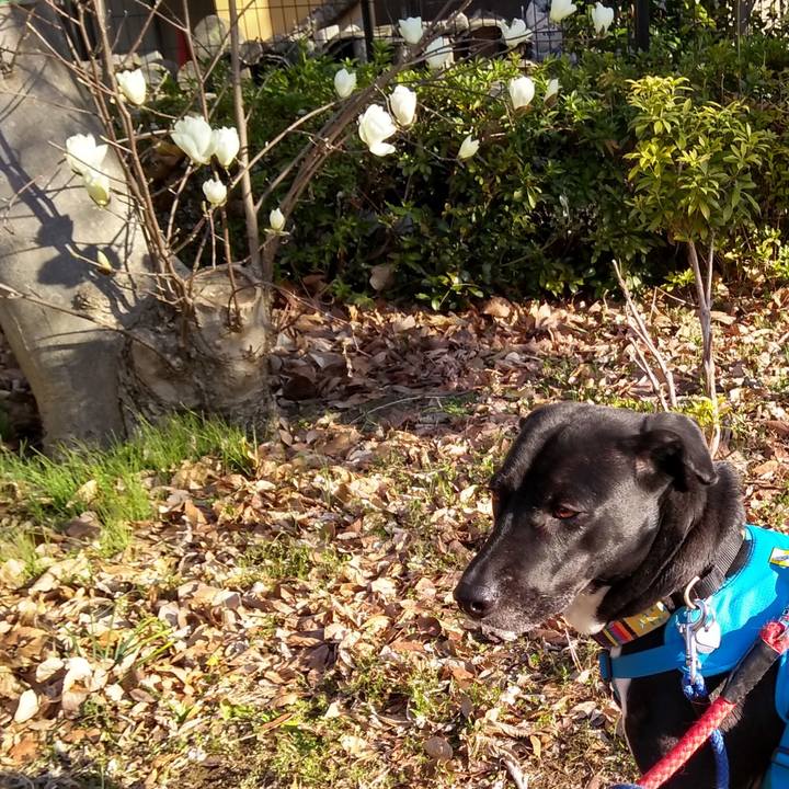 Bdddd38f 3a92 400a 82a3 03e793a40c39 1614212972411