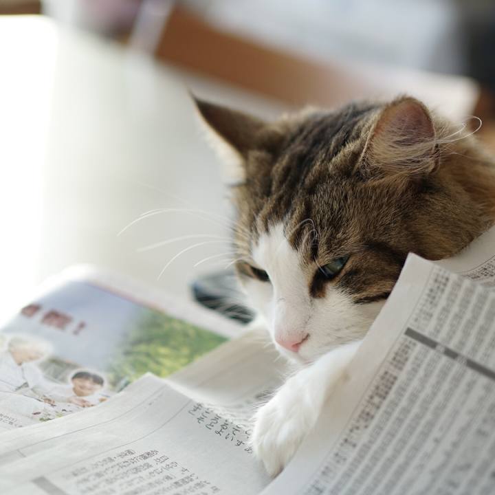 Bddf2fb9 a974 4d2b a438 cbc49456373b 1574246269598