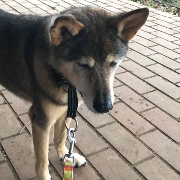 Bddf3a8f ef62 4032 a18f 080ab6044011 1539568195937