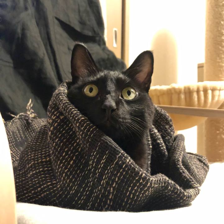 Bddf45a3 2f04 4fd7 b6a6 5f3044043545 1639038189104