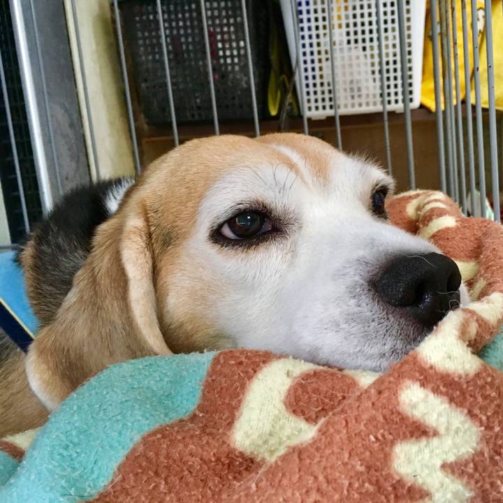 Bddf464f 1de2 42ed 93c1 1b04e6f85213 1540527848852