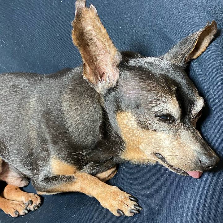 Bddf521c 16a3 40af 87f7 75e85c94f93a 1599573780979