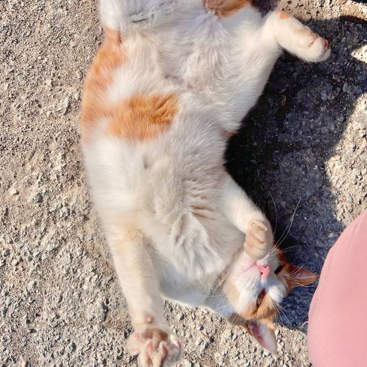 Bddf651e 61d5 42e0 9b12 ba2abbbe75d1 1680517787645