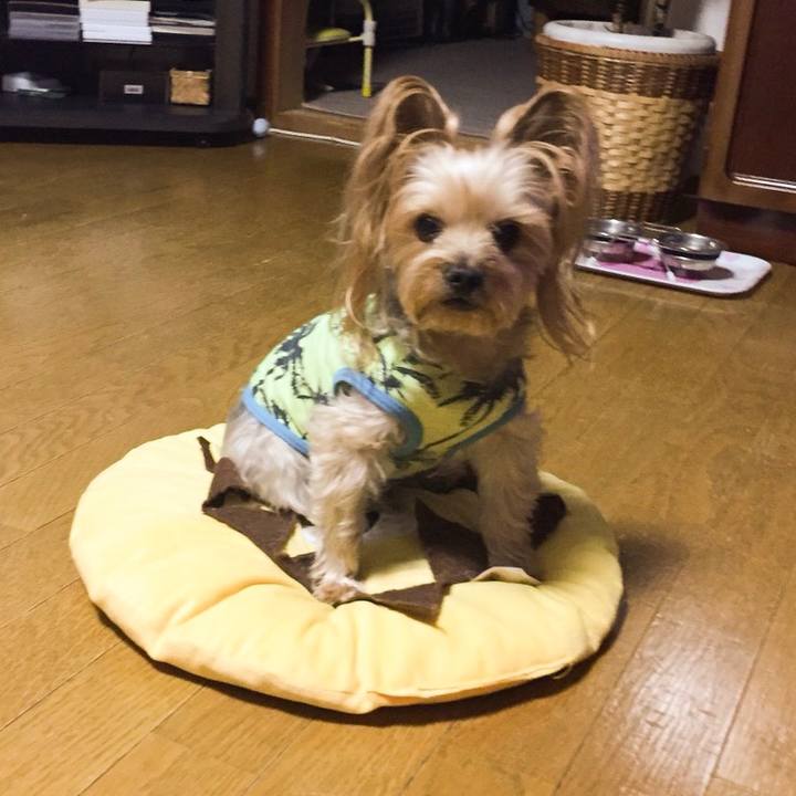 Bddf66cb 142e 44fc bddc fde9c80e441e 1549455785651