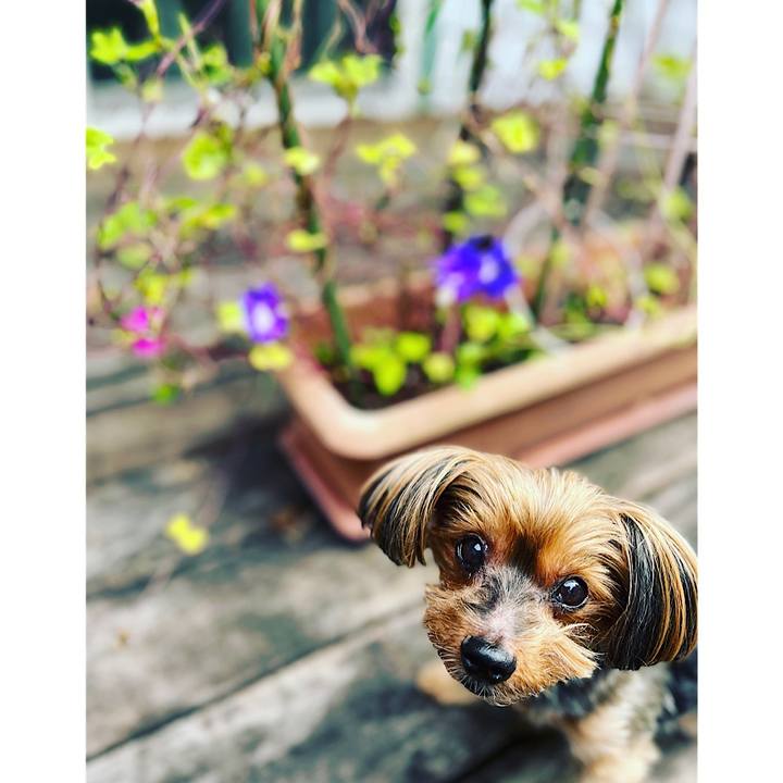 Bddfaeaf 54a9 4d1a 8eab 49a248372f19 1663798013510