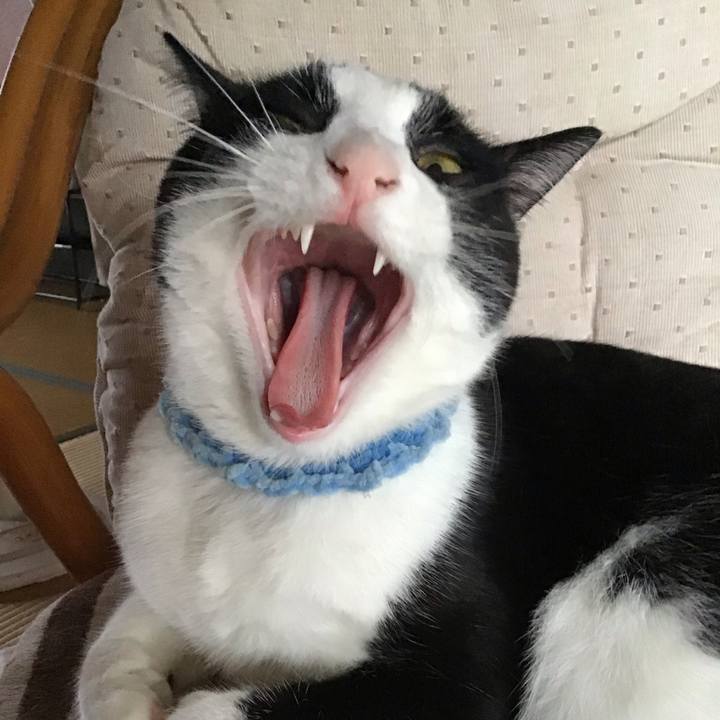 Bddfafa7 004e 4ac9 9a1d 06d0e6c5978e 1660384643597