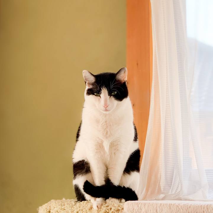 Bddfd7b5 8aaa 4290 9964 2addf1ef6369 1590715768029