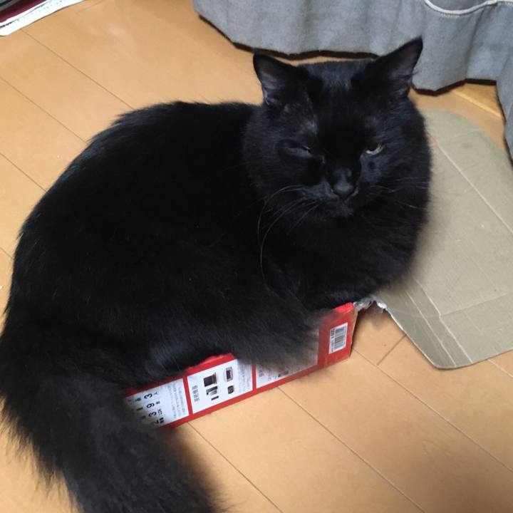 Bde00480 cf2a 472d 8480 2656dd01e776 1507808406616