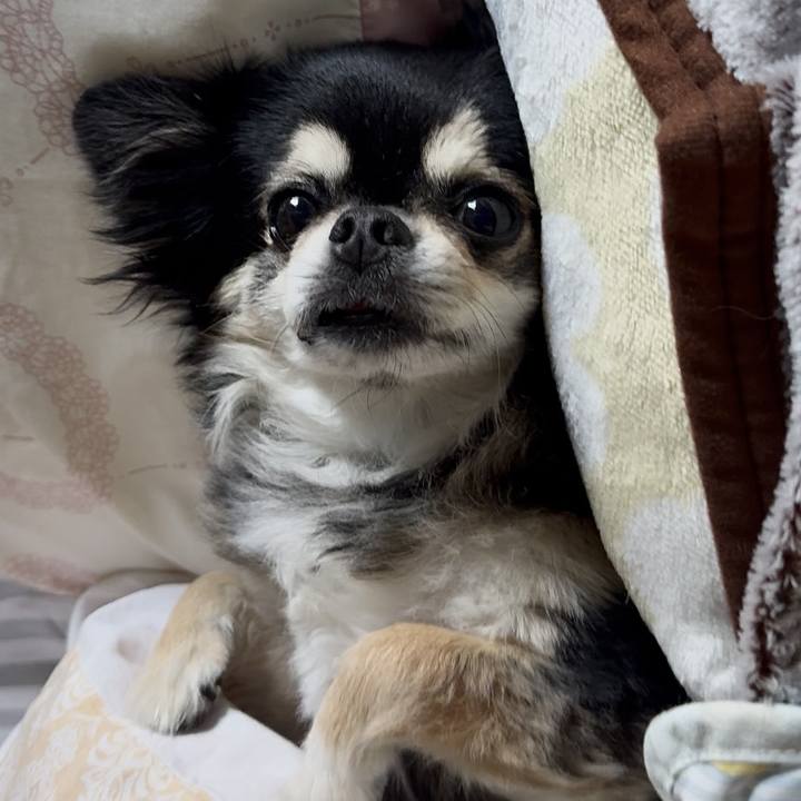 Bde0078a 1e01 439c 8ab4 e5d0b74f51f4 1758759265855