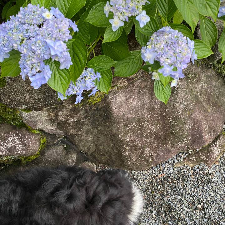 Bde00bb6 72af 4d37 b9b6 6701afb20e08 1622800769680