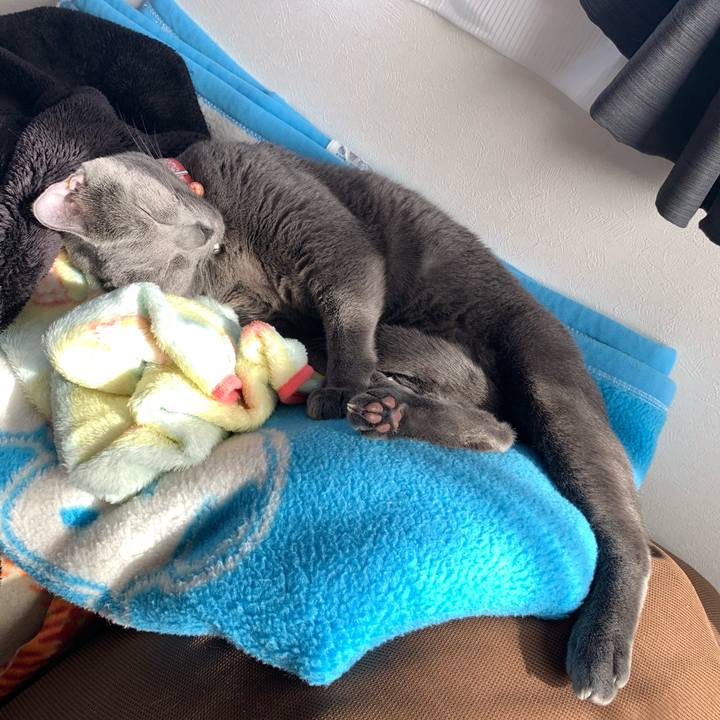 Bde02cc2 0d25 4d72 9774 220a99a3b5b5 1606876959095