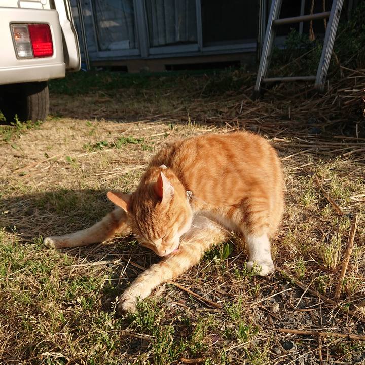 Bde03f72 d84a 4f8d bb8a 0204fcf65be1 1591653030489