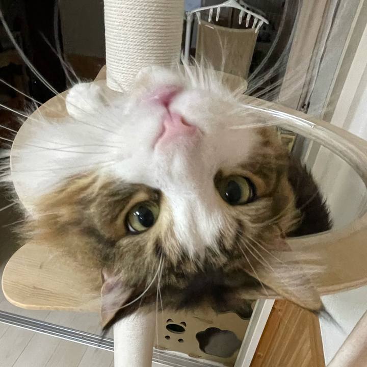 Bde05fcc 5f21 4de7 a93c 758b6d39956a 1668893596601